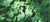 sustainability consumption keep our planet green