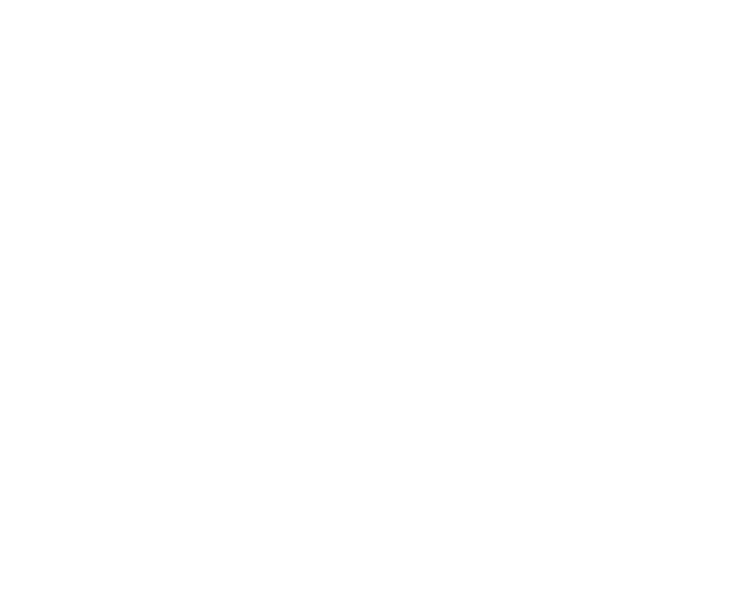 Business for Good Social Enterprise Member of raiSE Logo