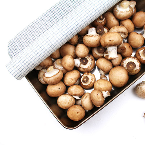 minimakers large beeswax wrap garlic in blue checkered fabric print